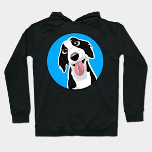 Pet dog cartoon Hoodie